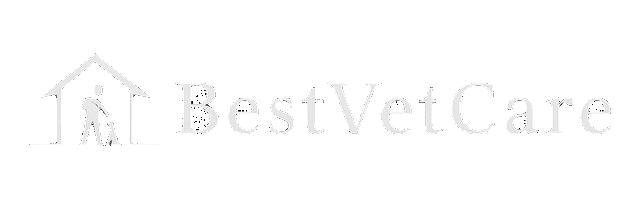 Best Vet Care Pets