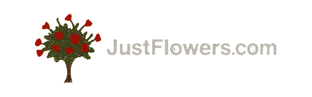 JustFlowers.com Flowers